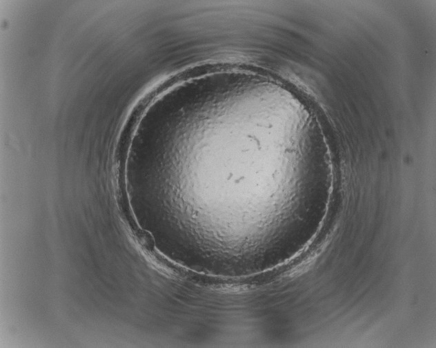 X0000058781029200510031015