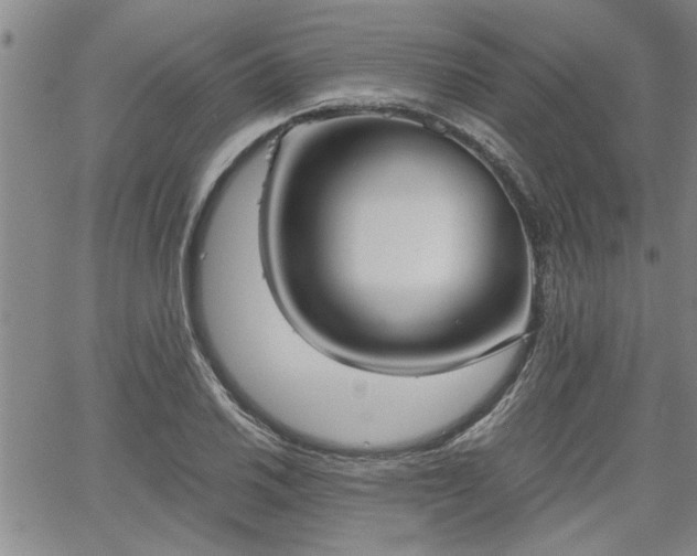 X0000058781030200510031015