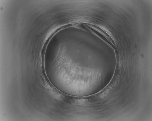 X0000058781031200510031015