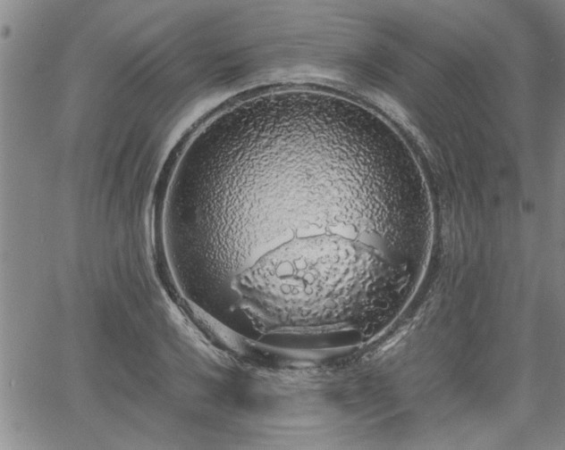 X0000058781032200510031015