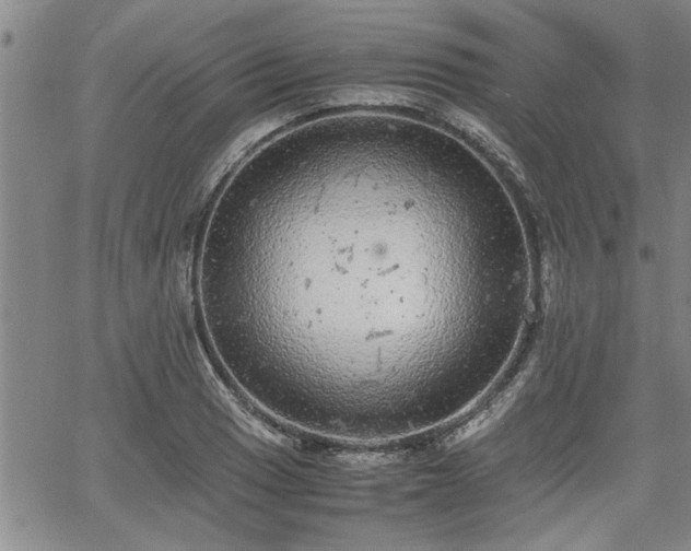 X0000058781033200510031015