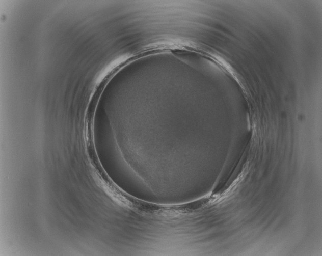 X0000058781034200510031015