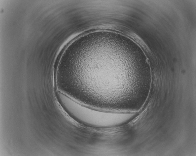 X0000058781036200510031015