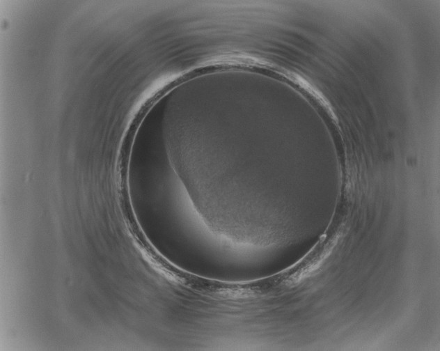 X0000058781037200510031015