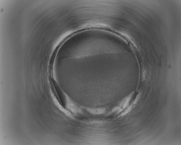 X0000058781038200510031015