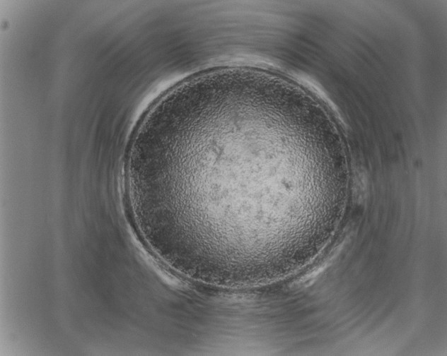 X0000058781040200510031015