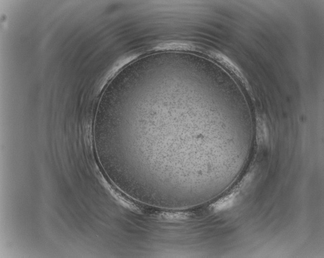 X0000058781041200510031015