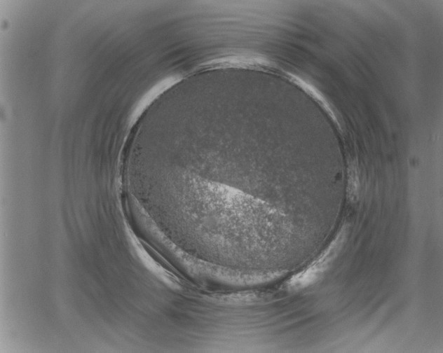 X0000058781042200510031015