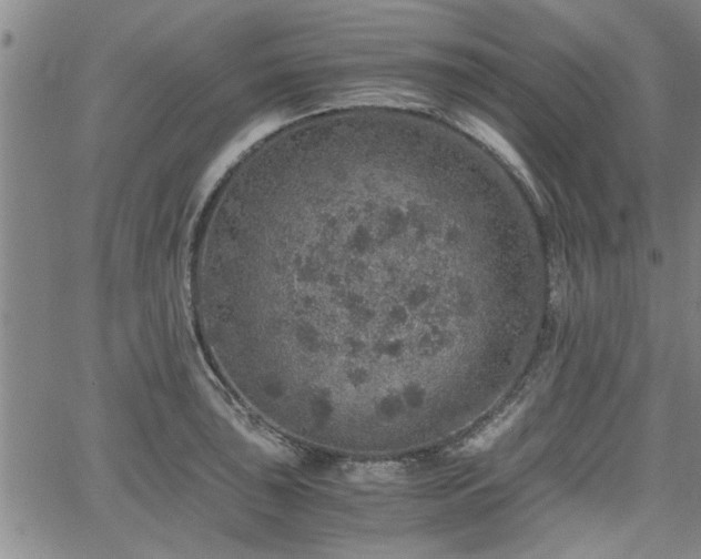 X0000058781043200510031015