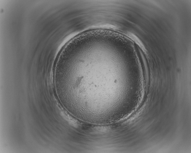 X0000058781044200510031015