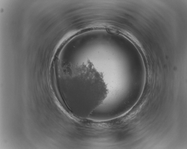 X0000058781045200510031015