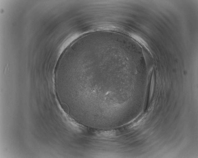 X0000058781047200510031015