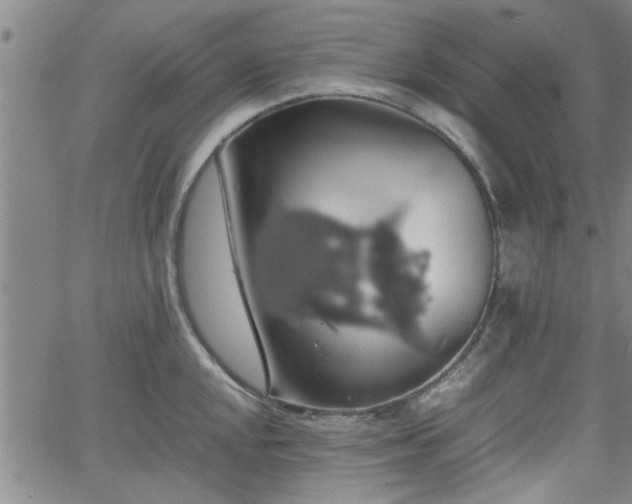 X0000058781048200510031015