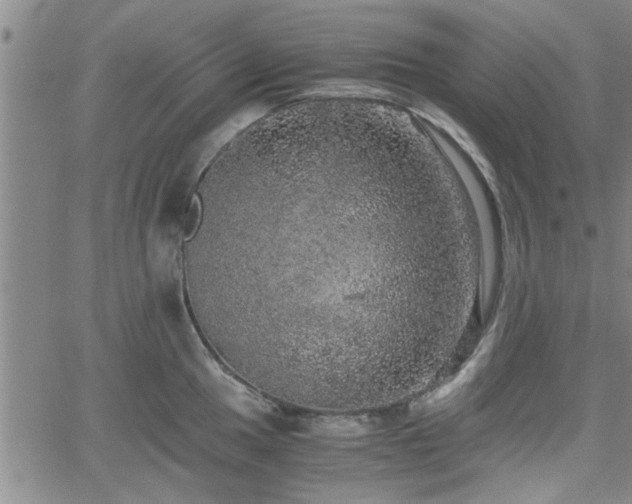 X0000058781049200510031015