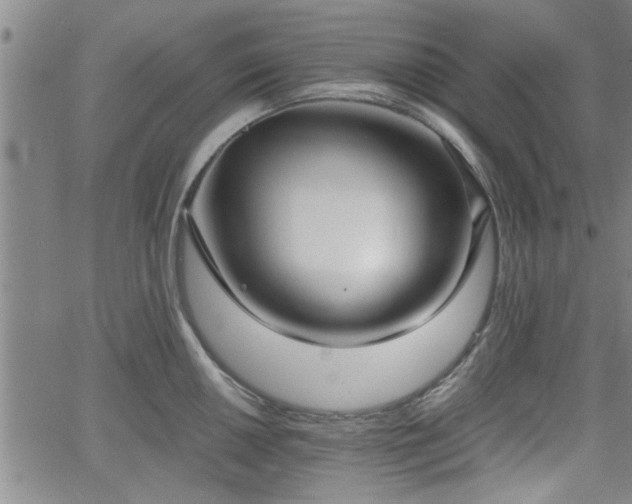 X0000058781050200510031015