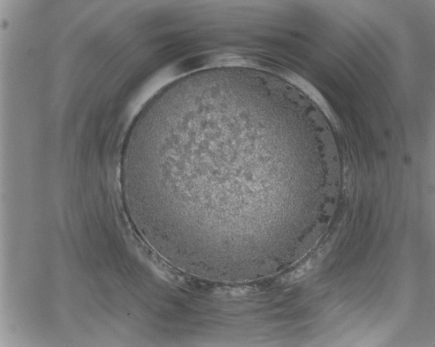 X0000058781051200510031015