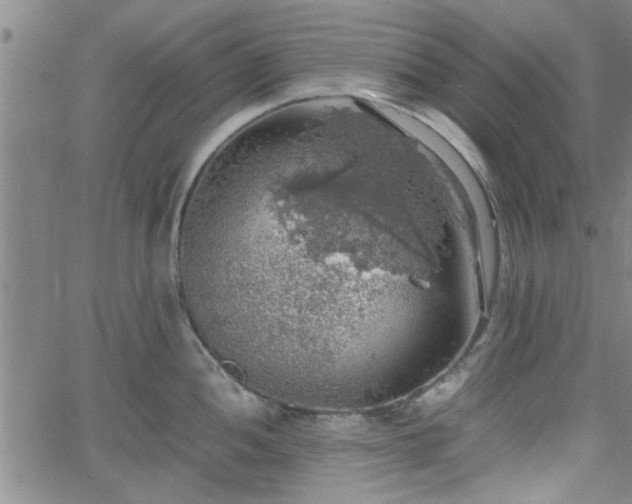 X0000058781052200510031015