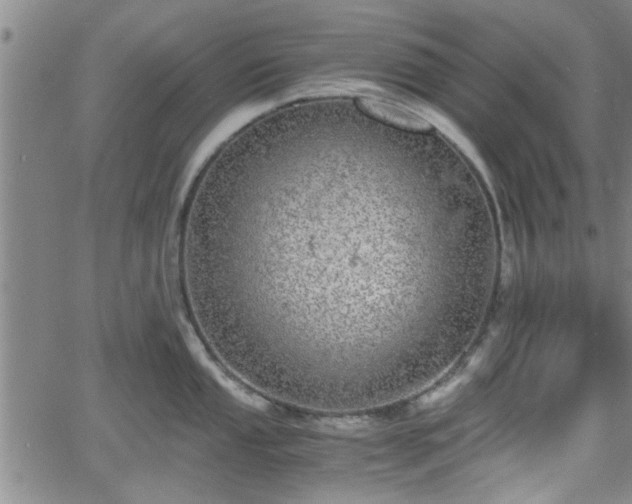 X0000058781053200510031015