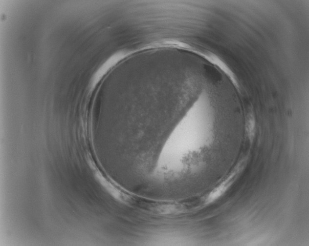 X0000058781054200510031015