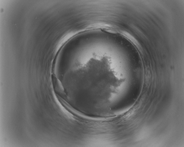 X0000058781055200510031015