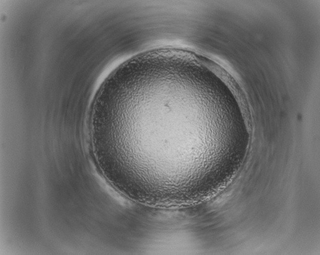 X0000058781056200510031015