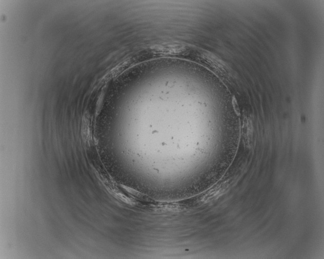 X0000058781058200510031014