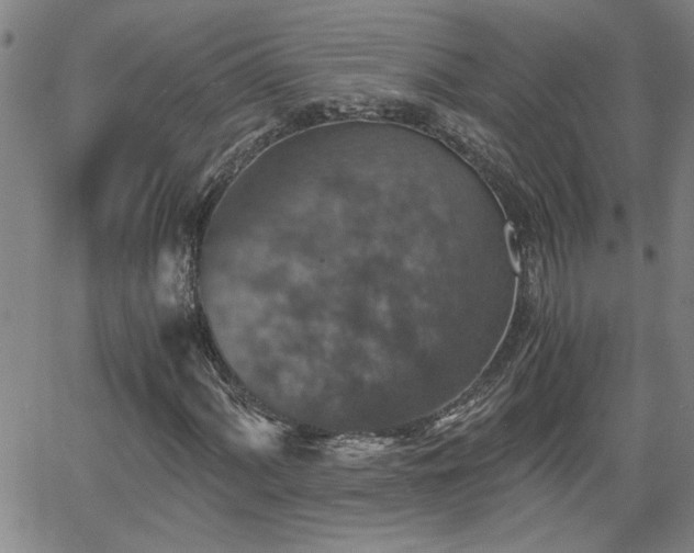 X0000058781060200510031014