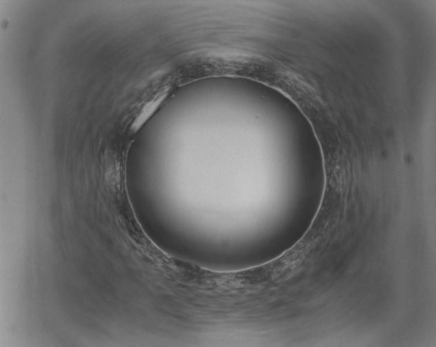 X0000058781061200510031014