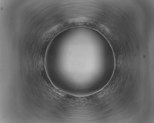 X0000058781062200510031014