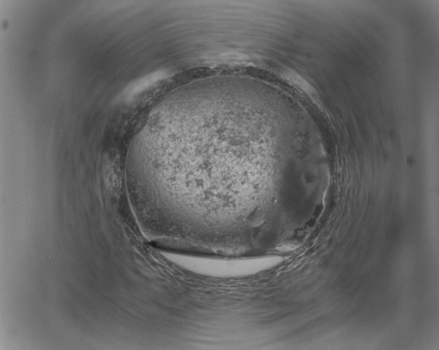 X0000058781063200510031014