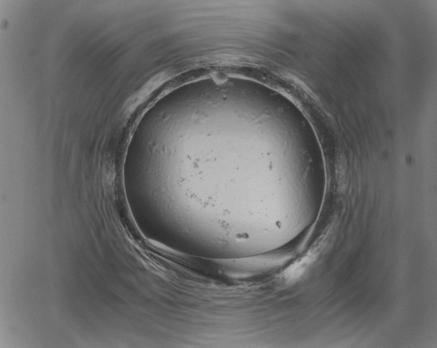 X0000058781065200510031014