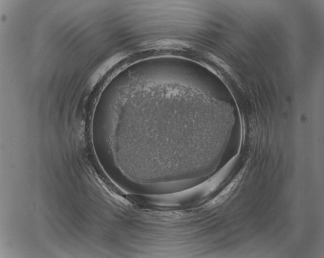 X0000058781066200510031014