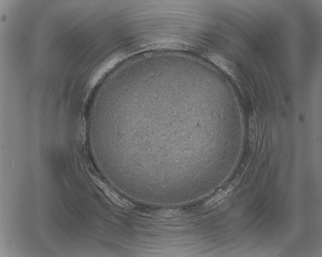 X0000058781067200510031014