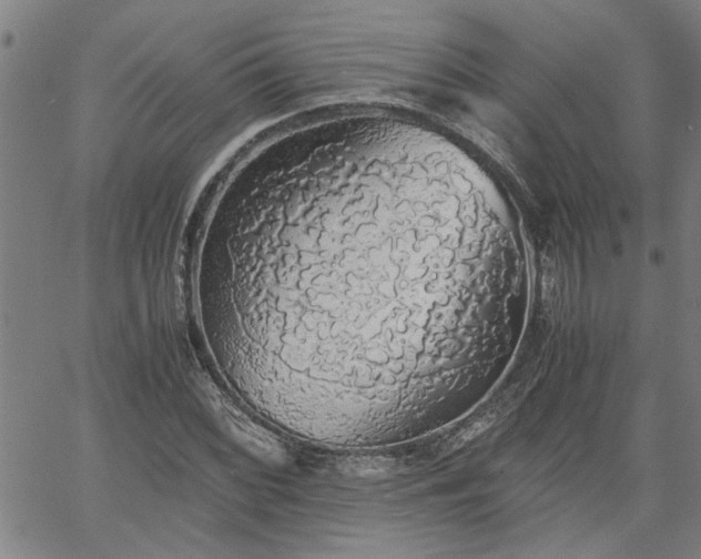 X0000058781068200510031014