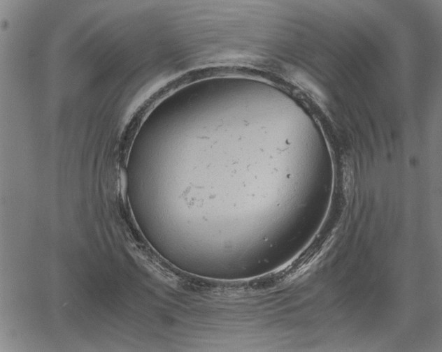 X0000058781069200510031014