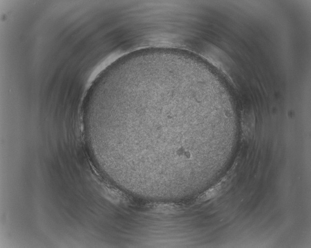 X0000058781070200510031014