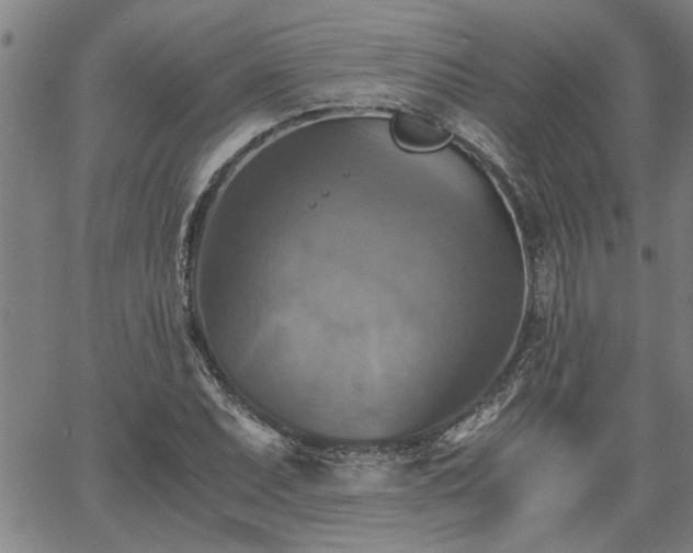 X0000058781071200510031014