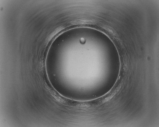 X0000058781073200510031014