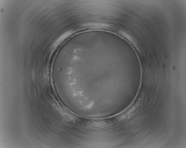 X0000058781074200510031014