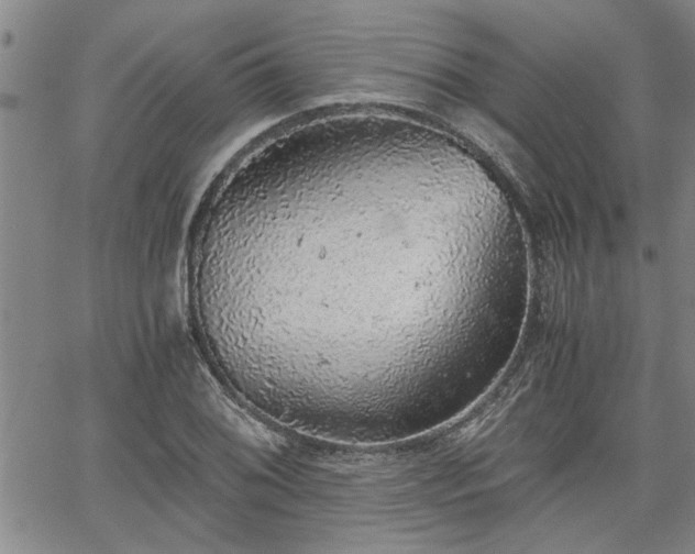 X0000058781076200510031014