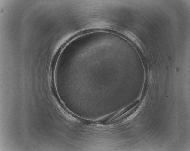 X0000058781077200510031014