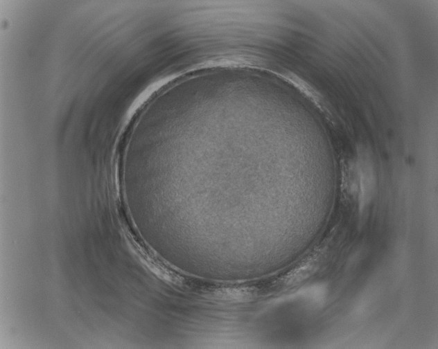 X0000058781078200510031014