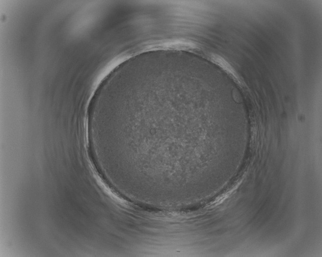 X0000058781079200510031014