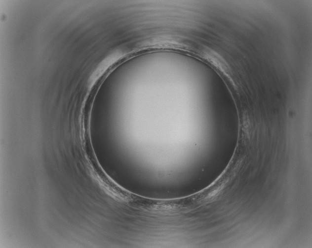 X0000058781082200510031014