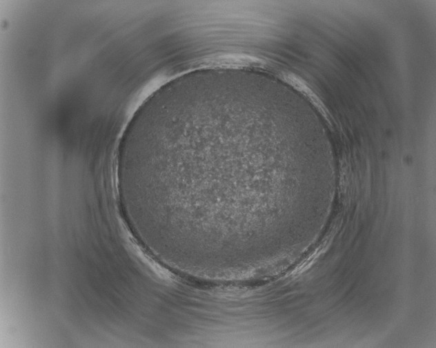 X0000058781083200510031014