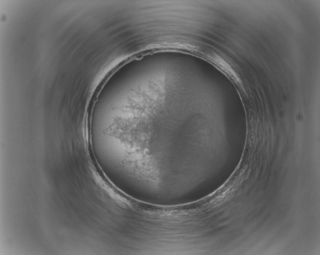 X0000058781084200510031014