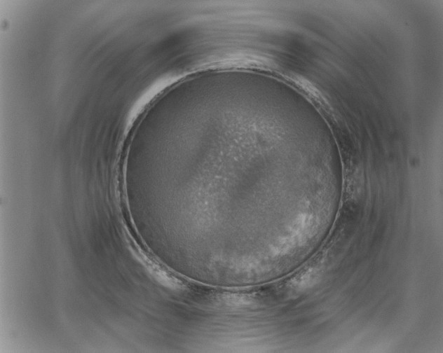 X0000058781086200510031014