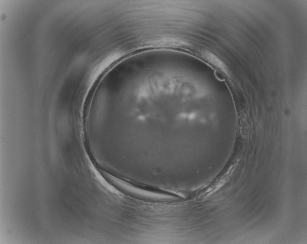 X0000058781087200510031014