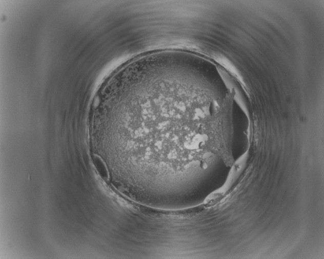 X0000058781088200510031014