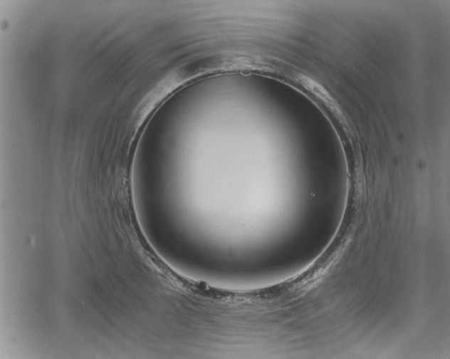 X0000058781089200510031014